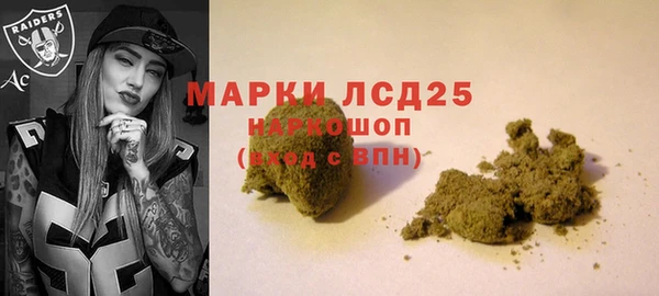 амф Алзамай