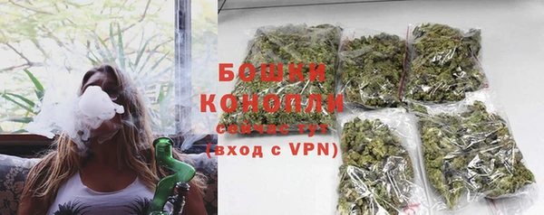ГАЛЛЮЦИНОГЕННЫЕ ГРИБЫ Пересвет
